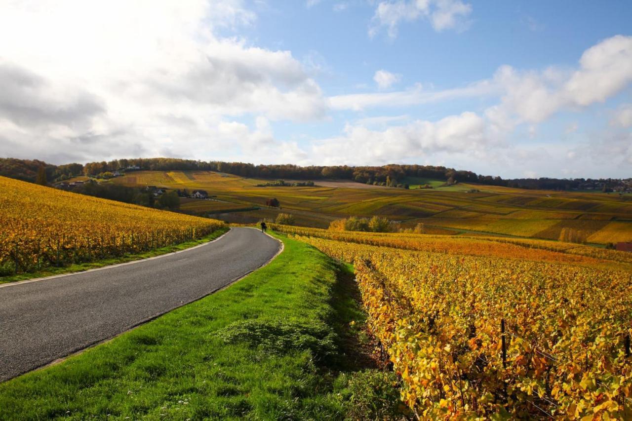 Hostellerie Briqueterie & Spa Champagne Vinay  المظهر الخارجي الصورة Vineyards in the Moselle valley